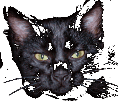 Just_Dark